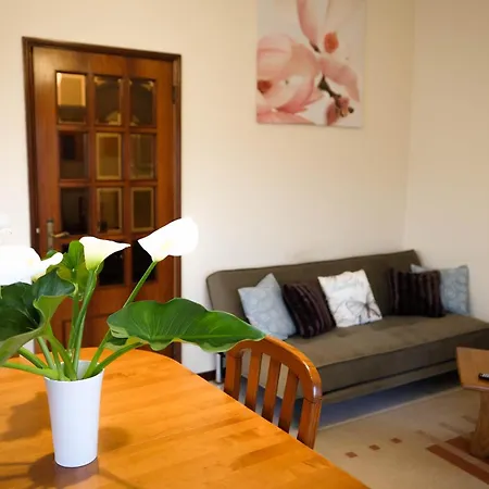 Eucalyptus Pink House Holiday home