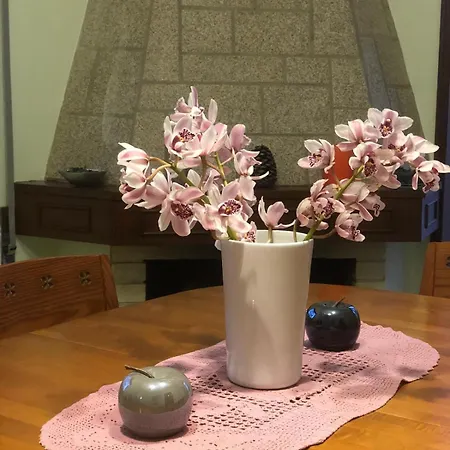 Eucalyptus Pink House Holiday home Covelo (Porto)